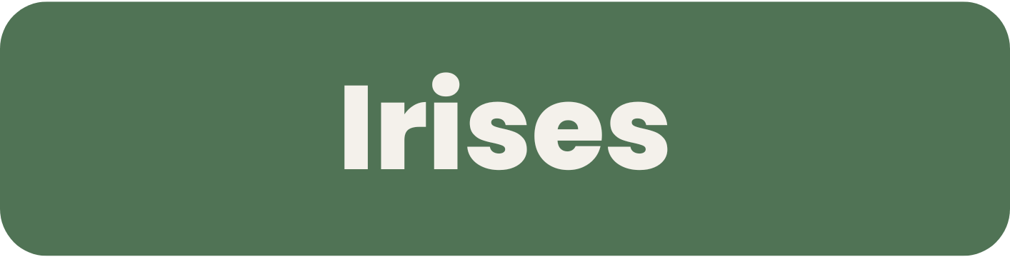 Irises