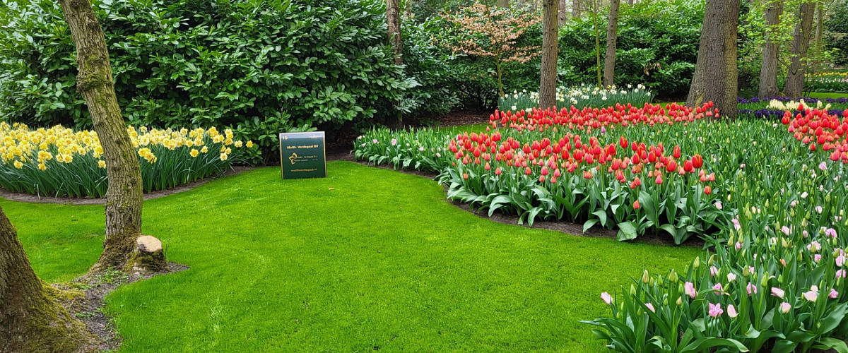keukenhof matth verdegaal.jpg?1760955230&focus=35.80 38