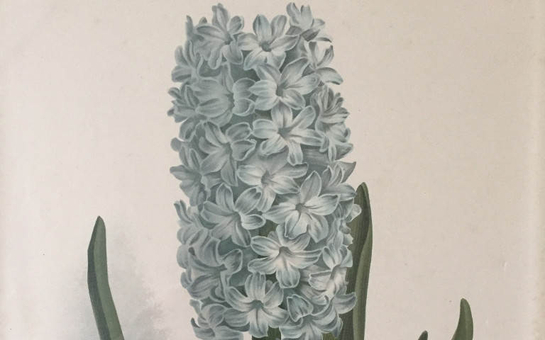 history cta.jpg?1761228358&focus=48.50 33