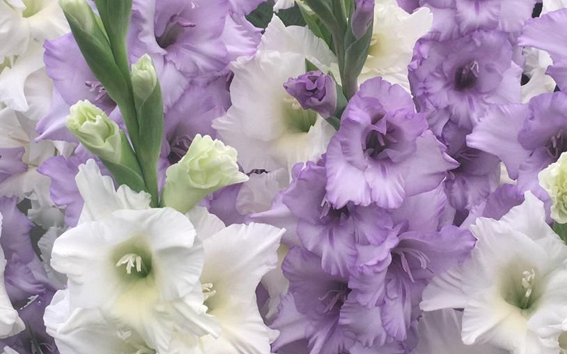 whatsapp image 2022 03 22 at 8.29.21 am