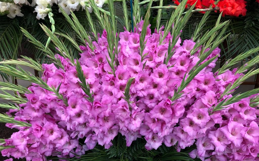 whatsapp image 2022 03 22 at 8.29.21 am 1 