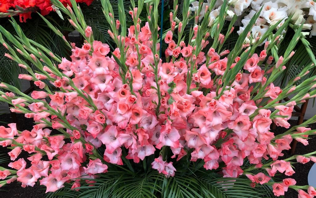 whatsapp image 2022 03 22 at 8.29.23 am 1 