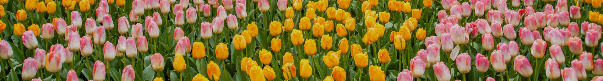 Matth. Verdegaal B.V.