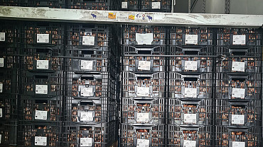 daa20ad4 0f69 4d3c 8541 aa9b08c21bcf