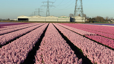 whatsapp image 2026 04 08 at 08.43.47