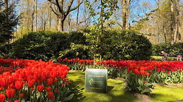 2026 keukenhof mv sign