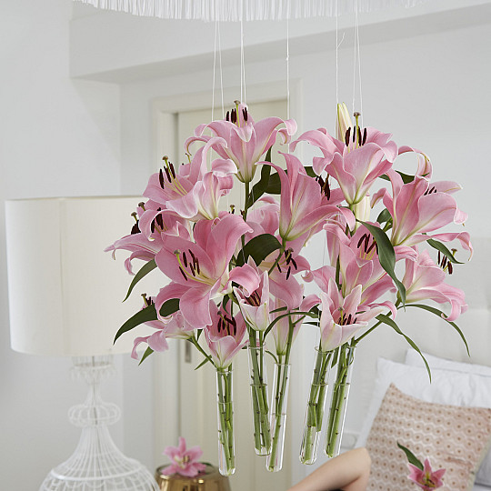 Pink Palace