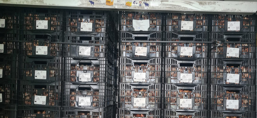 daa20ad4 0f69 4d3c 8541 aa9b08c21bcf