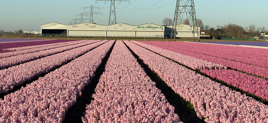 whatsapp image 2026 04 08 at 08.43.47