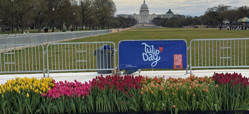 whatsapp image 2026 04 08 at 10.17.42 2 