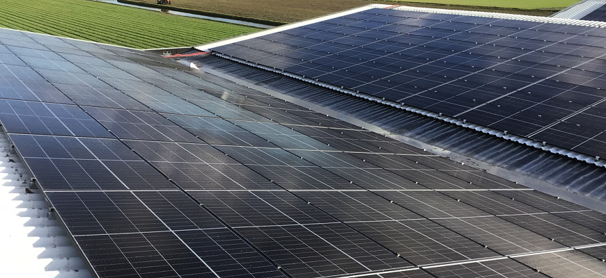 79d8ccd0 29b7 45dc 9f11 43c9b9ad0a7f 1 